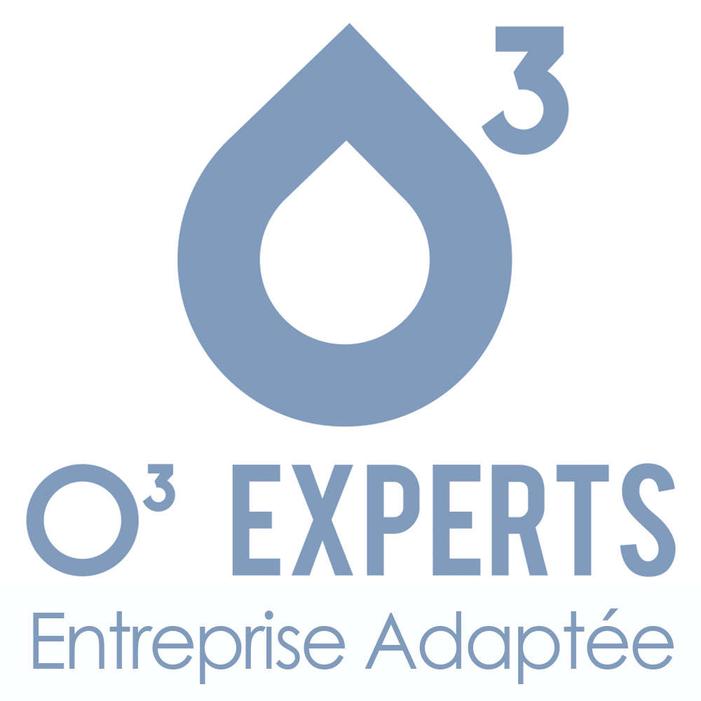 O3 experts